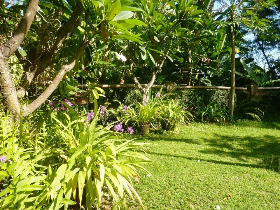 Gartenanlage Saraswati Holiday House