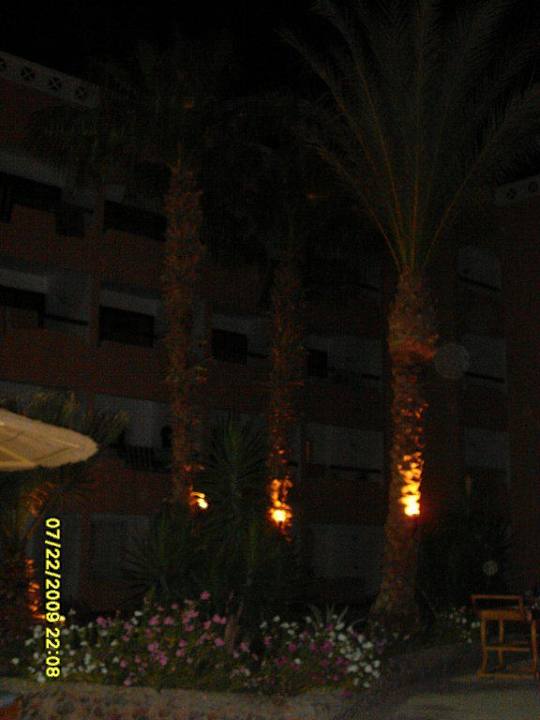 Poolanlage Beach Albatros Resort