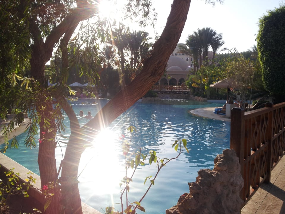 Blick zum Pool Makadi Palace