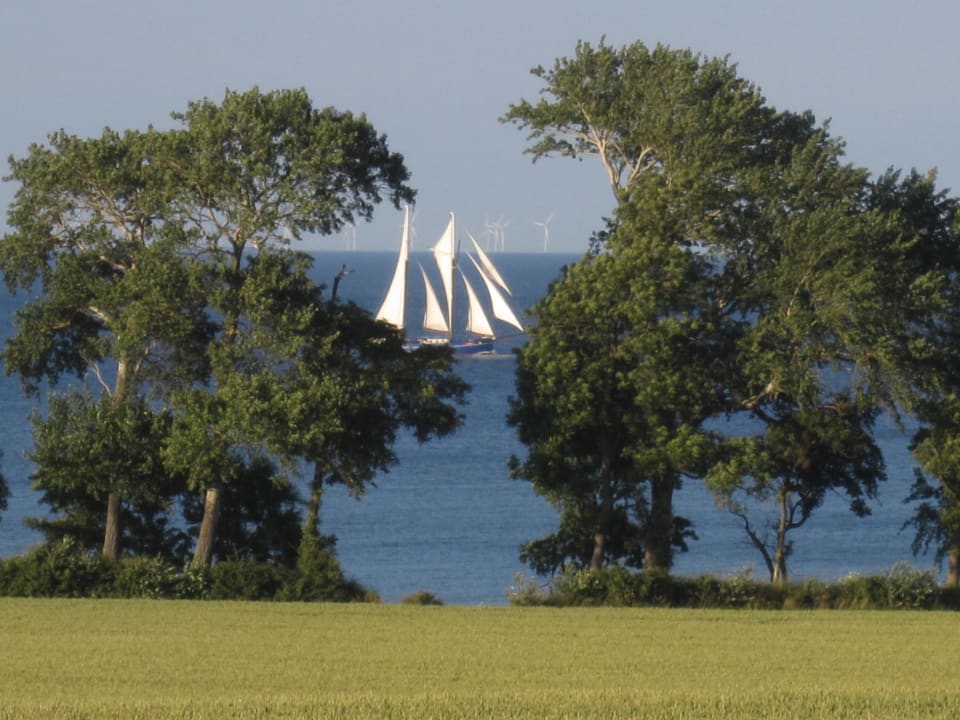 Ausblick Ferienbauernhof Liesenberg mit Meerblick