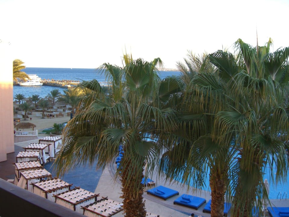 Poolanlage Beach Albatros Resort