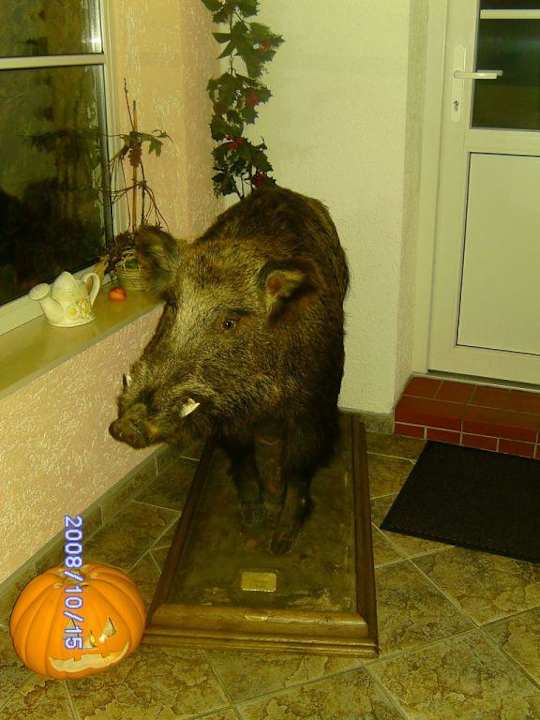 Eingang Hotel Goldener Hirsch