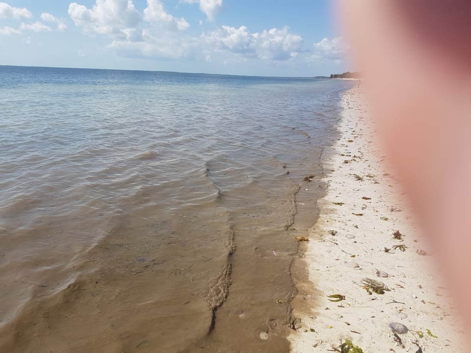 Strand Jaz Adonia Beach Resort