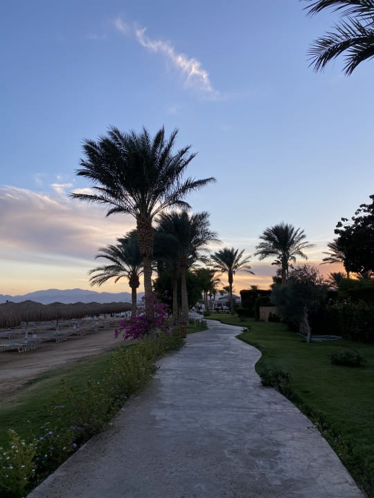 Sonstiges Sentido Caribbean World Soma Bay