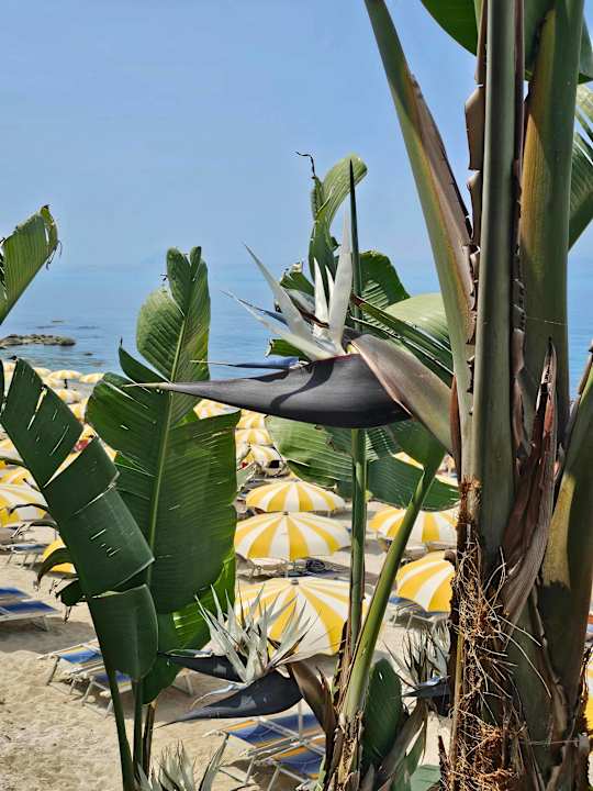 Strand Aldiana Club Rocca Nettuno Calabria
