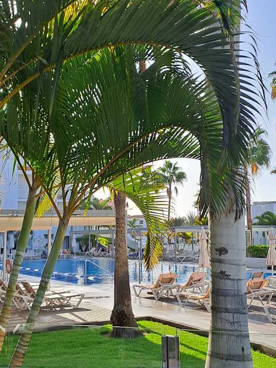 Gartenanlage Hotel Riu Arecas - Adults only