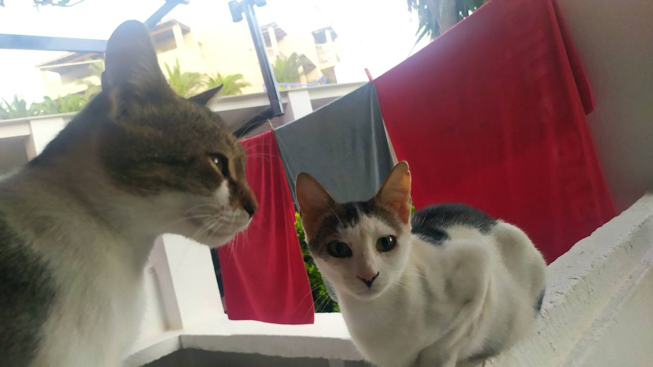 Sonstiges Porto Agia Galini