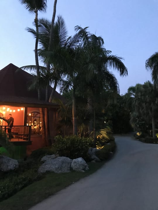 Gartenanlage Hotel Grand Palladium Palace Resort, Spa & Casino