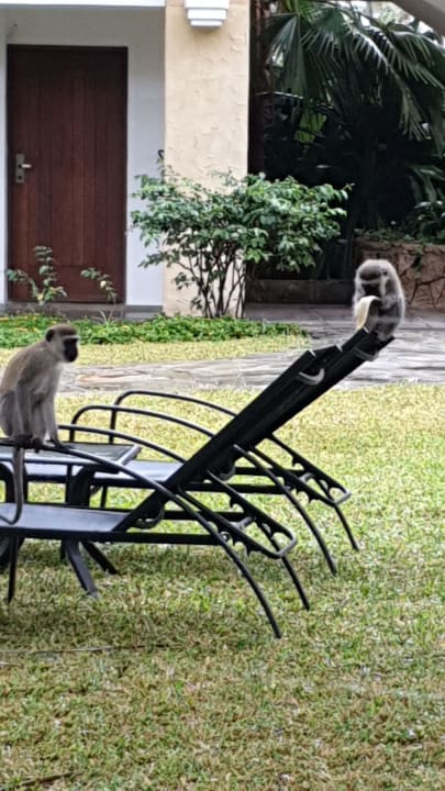 Sonstiges Bahari Beach Hotel