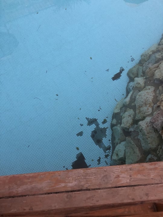 Pool The Grand Resort