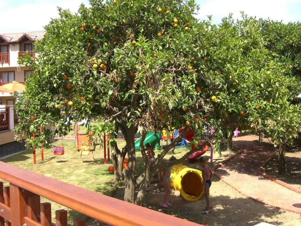 Kinderspielplatz NoxInn Club