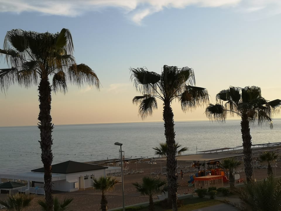 Strand Kamelya Aishen Club