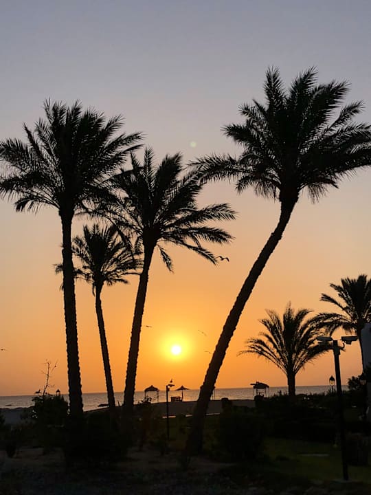 Gartenanlage Hotel Gorgonia Beach Resort