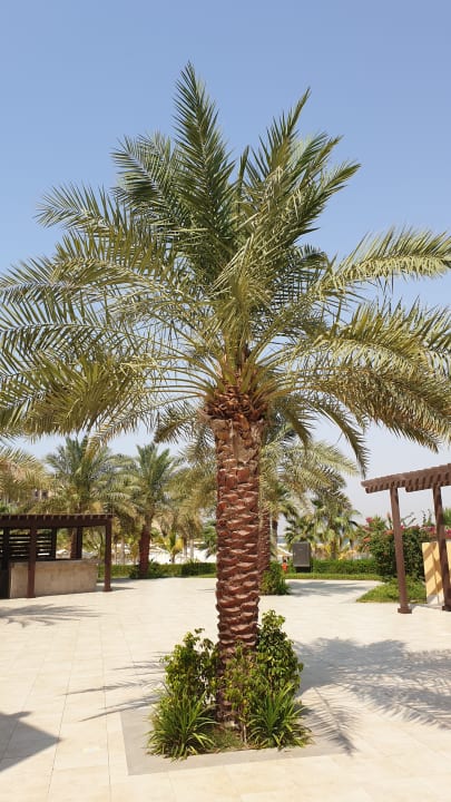 Ausblick DoubleTree by Hilton Resort & Spa Marjan Island