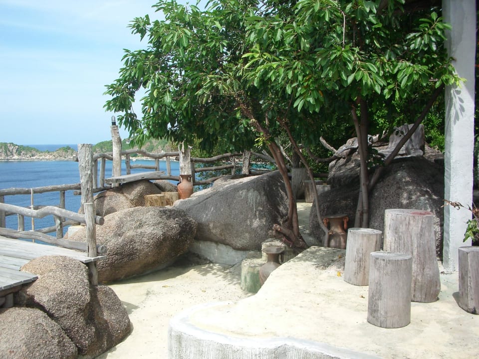 Restaurant Moondance Magic View Bungalow