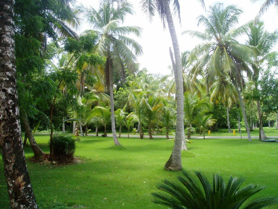 Wunderschöner grüner Garten Wyndham Alltra Samana