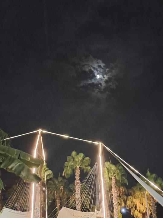 Gartenanlage Can Garden Resort