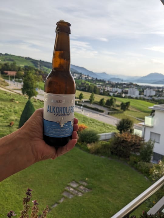 Gastro Hotel Ibis Baar / Zug