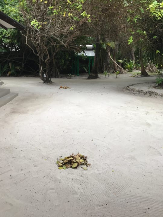 Blätter werden täglich weg geräumt Adaaran Select Meedhupparu Island Resort - Premium All Inclusive