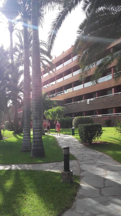 Garten Hotel Riu Palace Oasis