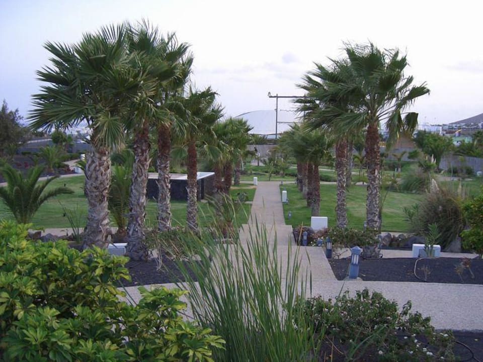 Gartenanlage Hotel THB Tropical Island