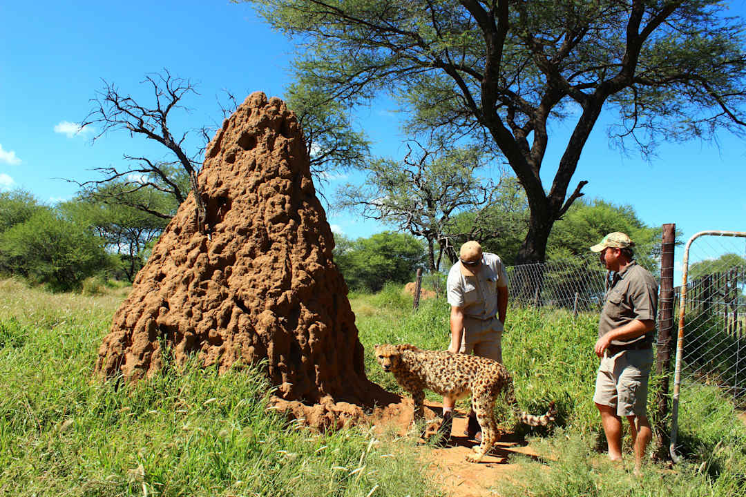 Ausflug zur Farm von Alex Rooms The Elegant Farmstead