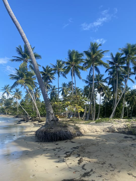 Strand Bahia Principe Grand El Portillo