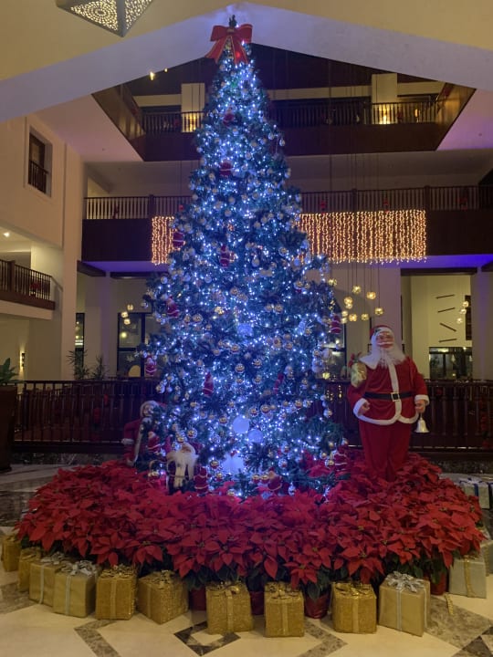 Sonstiges Steigenberger Aqua Magic