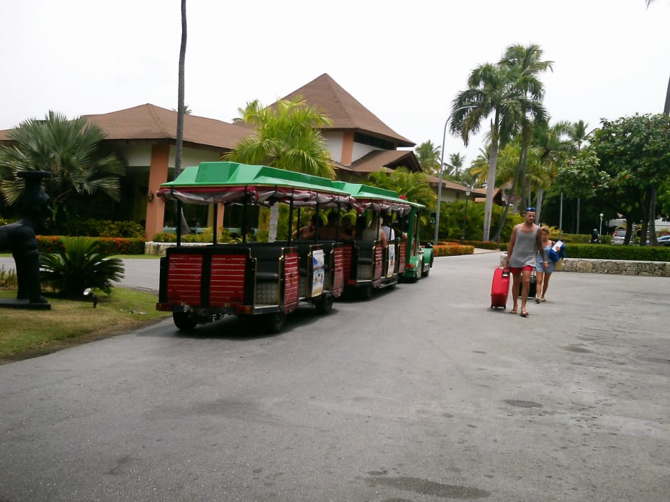 Dampfe TRS Turquesa Hotel - Adults only