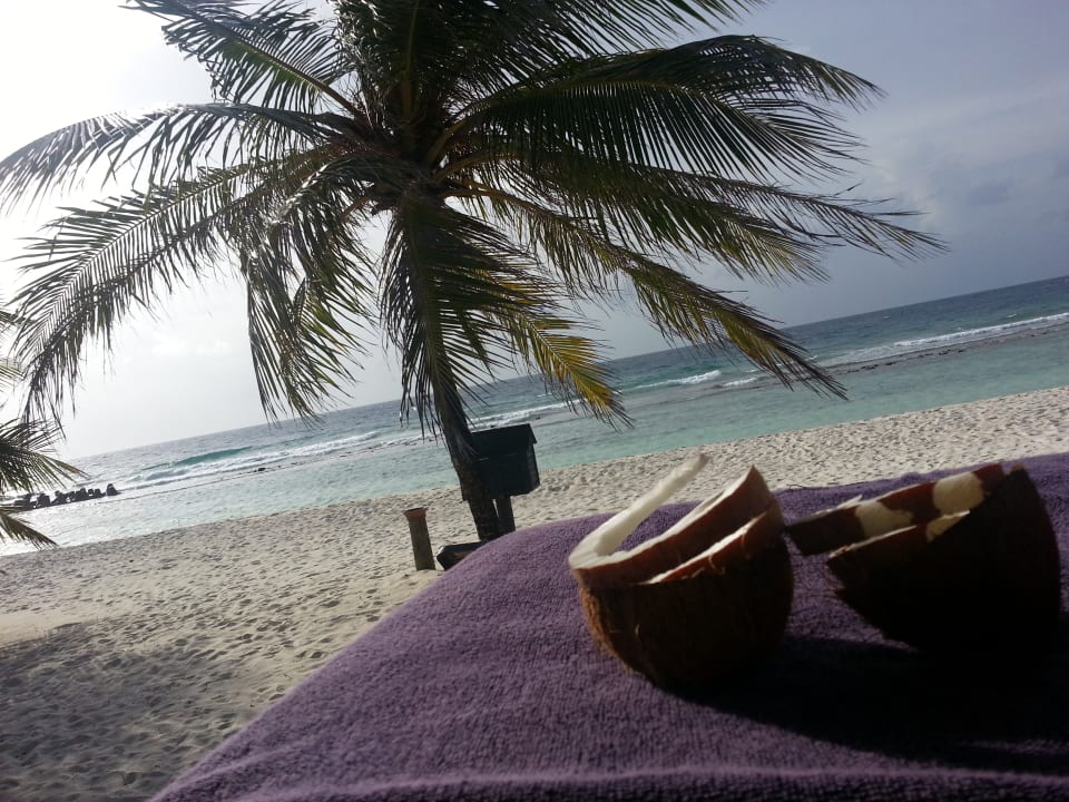 Zimmer Kuredu Island Resort & Spa