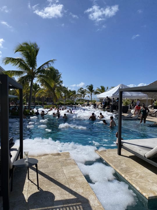Pool Live Aqua Punta Cana - All Inclusive - Adults Only