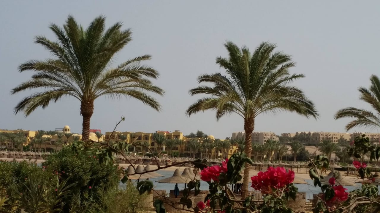 View from beach bar snack bar Steigenberger Coraya Beach - Adults only