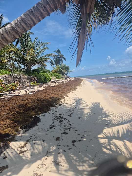 Strand Dreams Flora Resort & Spa - All Inclusive