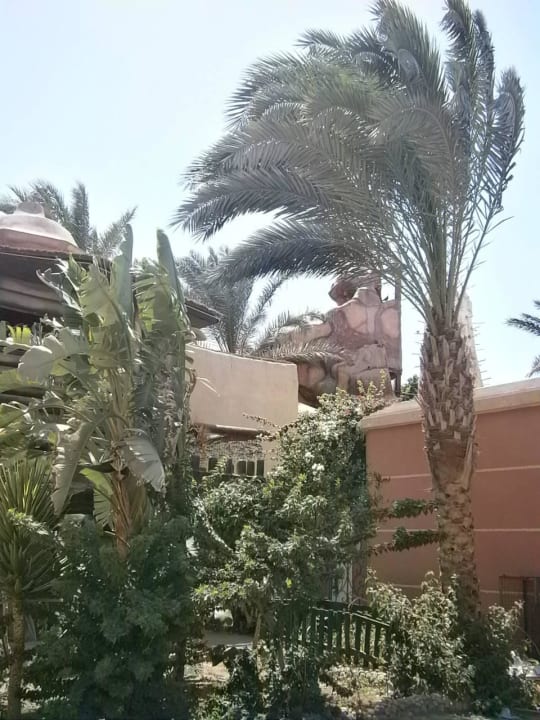 На территории Seagull Beach Resort