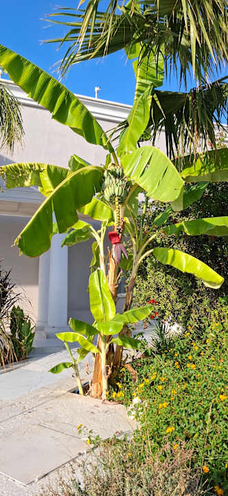 Außenansicht Mythos Palace Resort & Spa