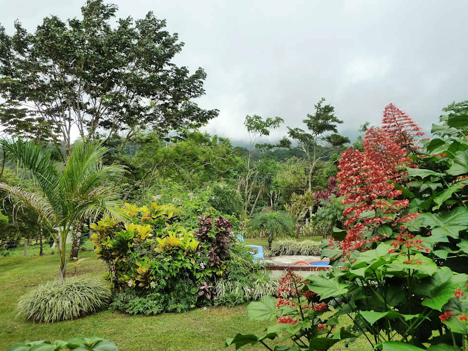 Altitude 550 mts B&B Sueño Celeste