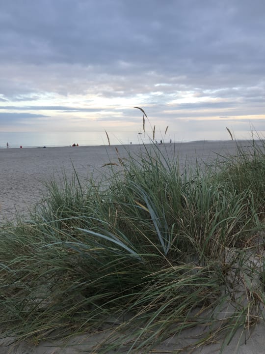 Ausblick Regenbogen Ferienanlage Prerow