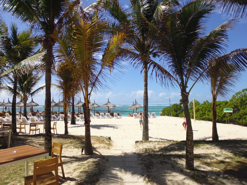 Strand Friday Attitude