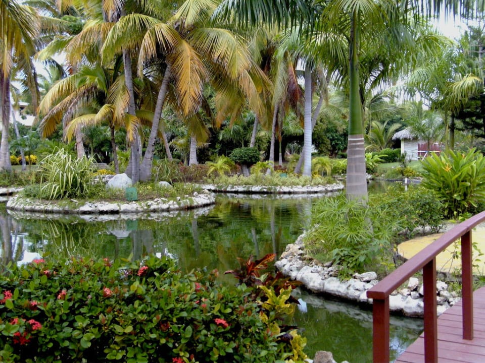 Gartenanlage Catalonia Punta Cana - All Inclusive