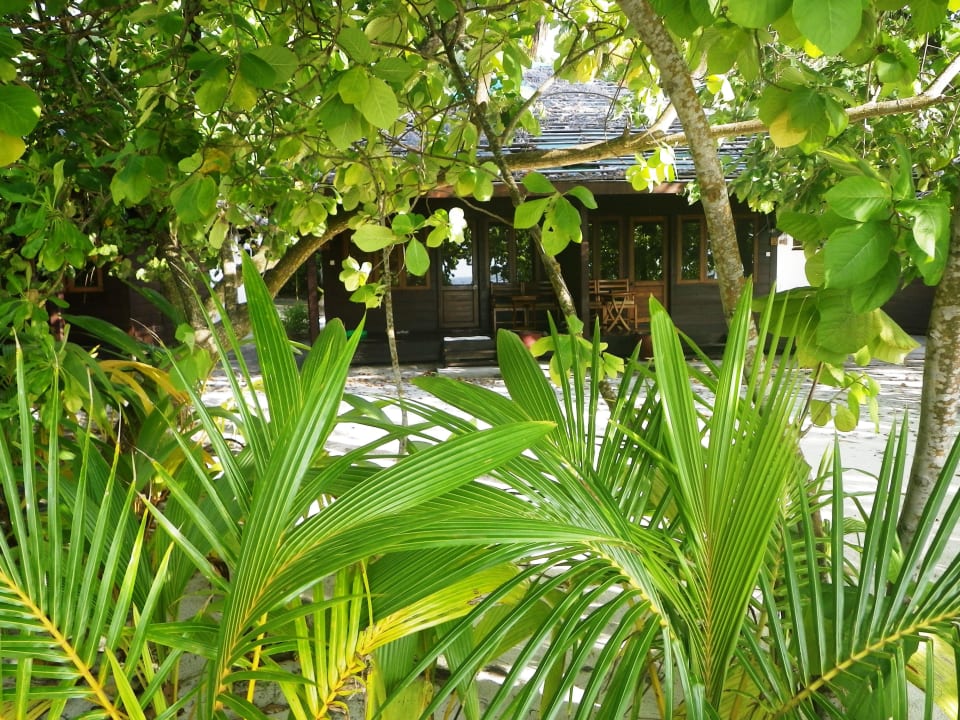 Blick auf den Bungalow Filitheyo Island Resort