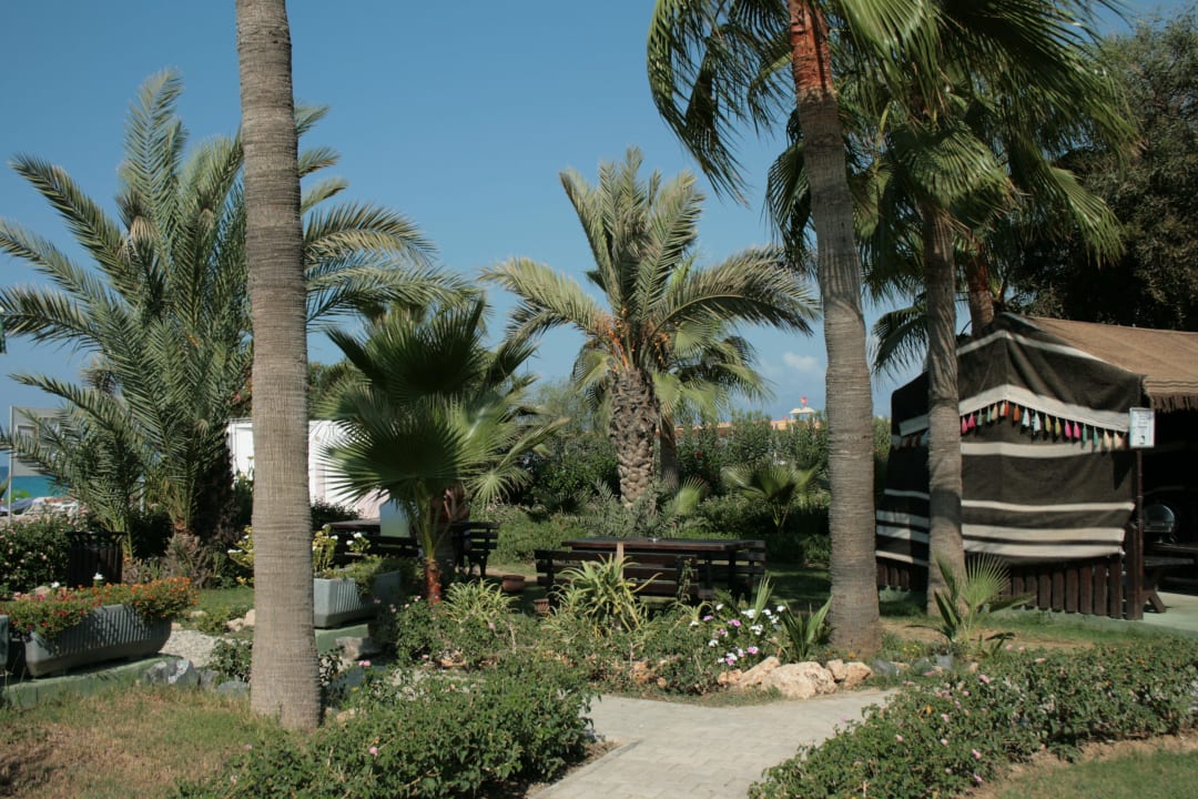 Hotel Dinler Kırbıyık Resort Hotel - Alanya