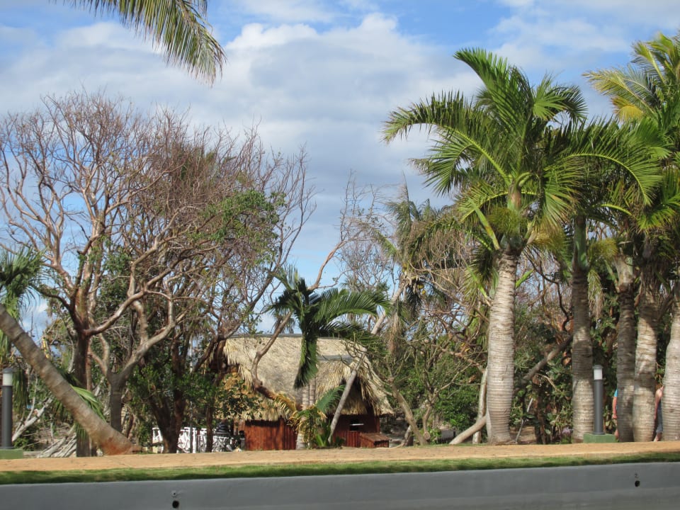 Gartenanlage Sirenis Tropical Varadero