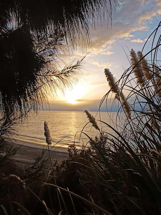 Ausblick Marina Playa Suite Hotel
