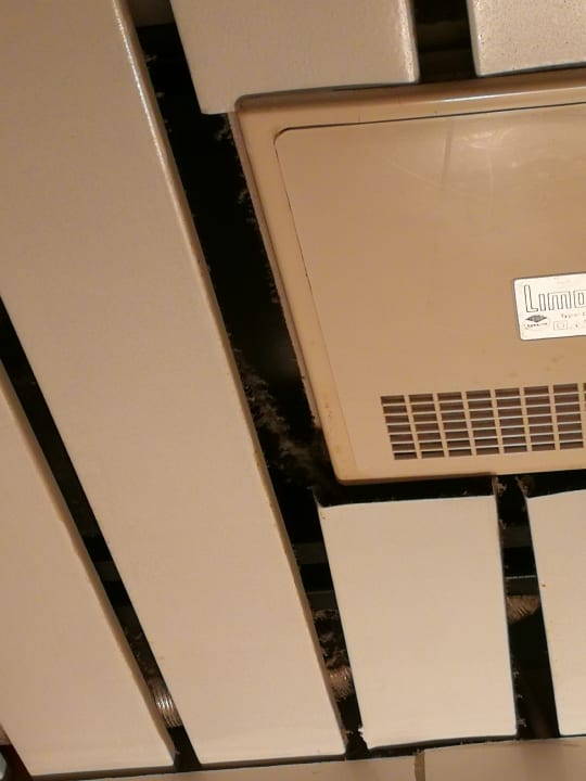 Zimmer Hotel Ahl Meerkatzen