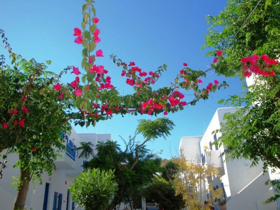 Weg zu den Zimmern Hotel Acrogiali