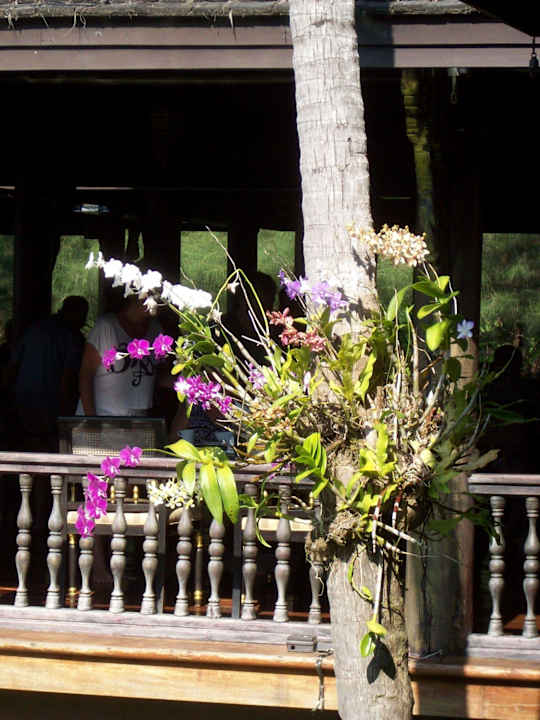 Blumen Hotel Takolaburi Khao Lak
