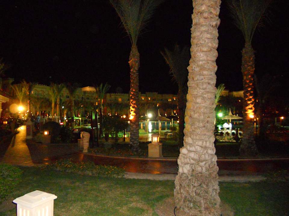 Pool am Abend Pickalbatros Palace Resort