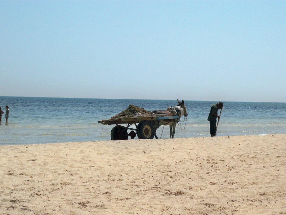 Ncht gut Hotel Sangho Club Zarzis