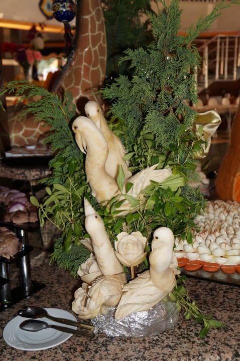 Atemberaubend Hotel Orfeus Park