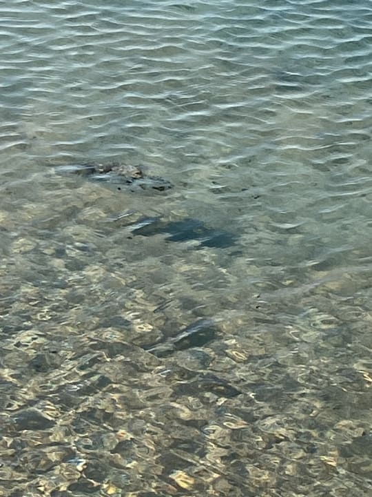 Strand Hotel Sheraton Soma Bay Resort